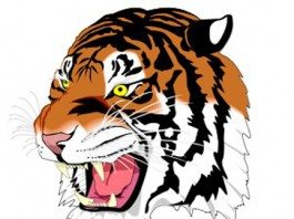 Cooper Craig runs wild, Tigers rout the Eagles