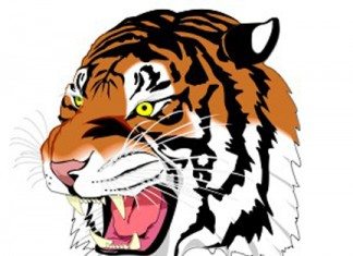 Morgan’s shutout leads Tigers to first regional championship