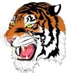 Tiger Logo Feature