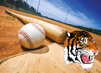 Wildcats win state championship over Tigers in extra-inning heartbreaker
