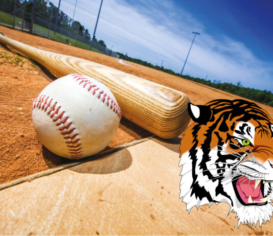 Wildcats win state championship over Tigers in extra-inning heartbreaker