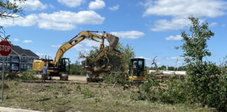 Knocking down the trees