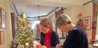 Checking out the decorations