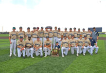 Knights roll to baseball regional championship