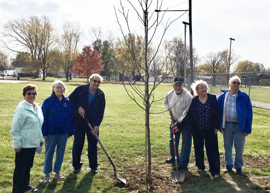 Lions Club plants donates tree | News Banner