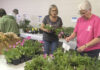 Master gardeners plant sale May 16