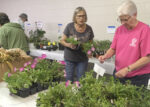 Master gardeners plant sale May 16