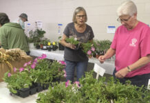 Master gardeners plant sale May 16