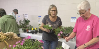 Master gardeners plant sale May 16