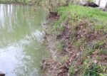 Portion of Rivergreenway bank to be stabilized in July