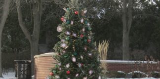 Angel of Hope and Positivity trees