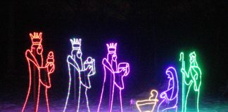 Driving through a Winter Wonderland