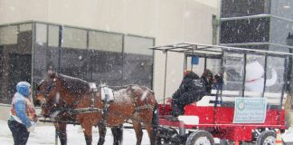 Walking in a winter wonderland