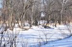 Winter on the Wabash