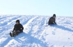 Snow day sledding