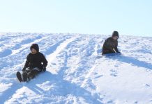 Snow day sledding