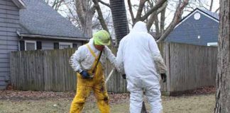 Potholing begins for lead line project