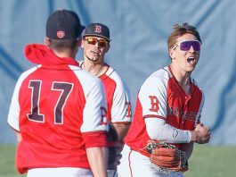 Tigers take Wells County baseball rivalry over Knights