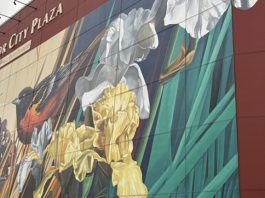 Downtown Iris Day set for May 30