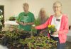 Plant Sellers
