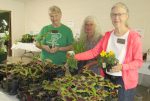 Plant Sellers