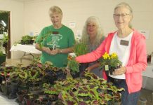 Plant Sellers
