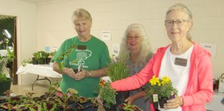Plant Sellers