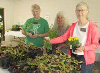 Plant Sellers