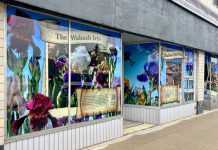 City launches “Bluffton Heritage Window Series” in downtown