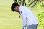 Tigers continue great golf season with eyes on the postseason prize