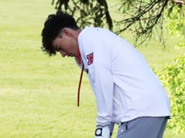Tigers continue great golf season with eyes on the postseason prize