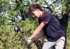 Tigers, Abbett take first place at bi-county tournament