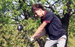 Tigers, Abbett take first place at bi-county tournament