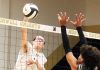 Knights drop in three sets to unbeaten Lions, but played strong in 2nd and 3rd sets