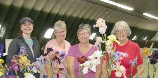 At Bluffton’s Iris Show