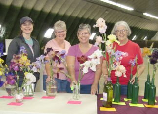 At Bluffton’s Iris Show
