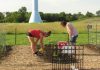 At the Community Garden plots