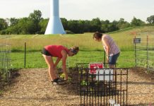 At the Community Garden plots