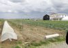 Fiechter’s River Farm to welcome visitors on Garden Walk