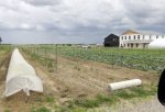 Fiechter’s River Farm to welcome visitors on Garden Walk