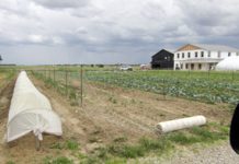 Fiechter’s River Farm to welcome visitors on Garden Walk