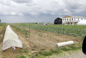 Fiechter’s River Farm to welcome visitors on Garden Walk