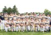 Knights top Braves to win sectional baseball crown