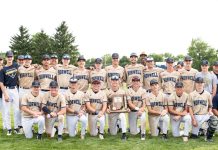 Knights top Braves to win sectional baseball crown