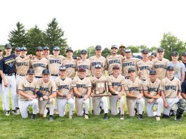 Knights top Braves to win sectional baseball crown