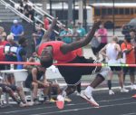 Bertsch places at state