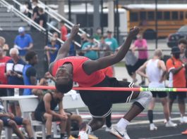 Bertsch places at state