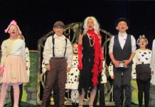 Found! 101 dalmatians