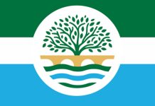 Bluffton receives $354K for digital artwork installation