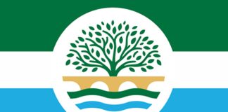 Bluffton council approves comprehensive safety plan for vehicle accidents